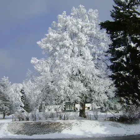Apartamento Haus Voellegg Vollegg Exterior foto