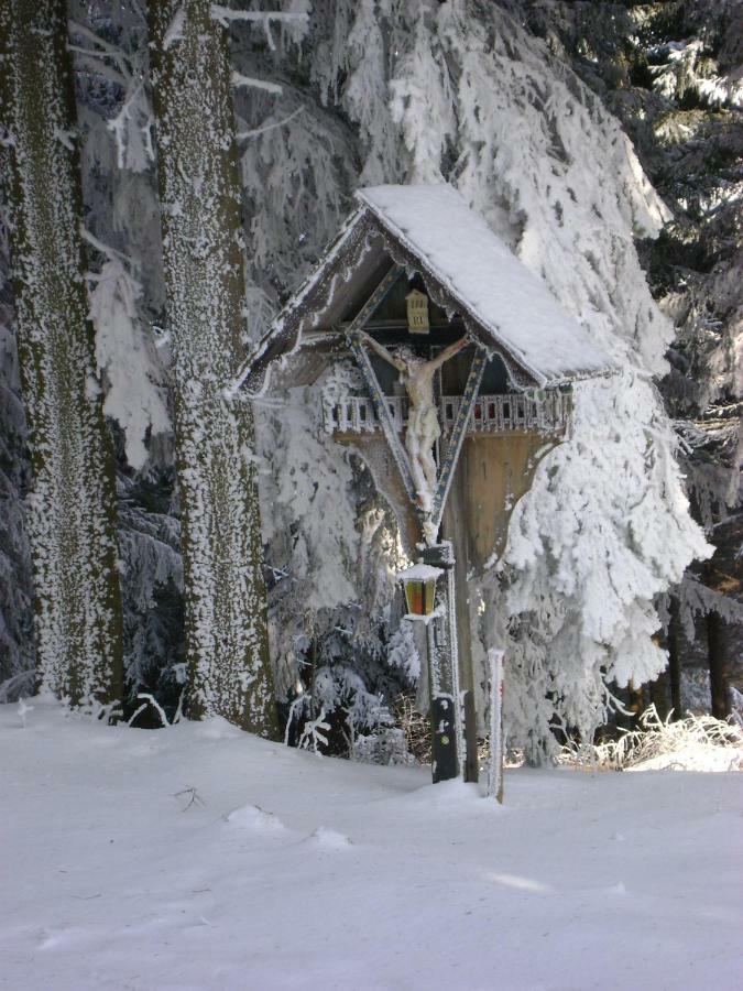 Apartment Haus Voellegg Vollegg